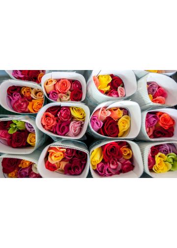 Trandafiri ecuador din aia foarte smecheri