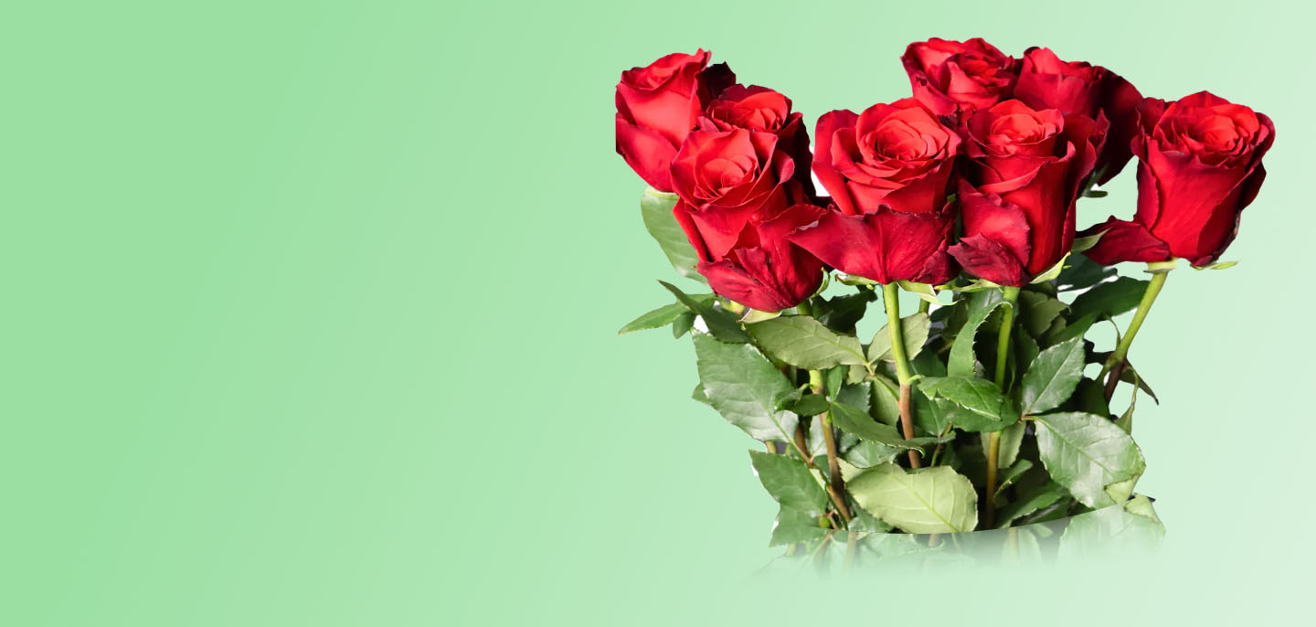 Precomanda trandafiri pentru floraria ta de Paste 2025